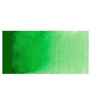 MIJELLO - Verde permanente...
