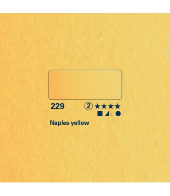 giallo di Napoli (229) -...