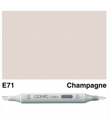 Copic Ciao Marker "E71"