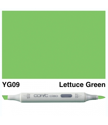 Copic Ciao Marker "YG09"
