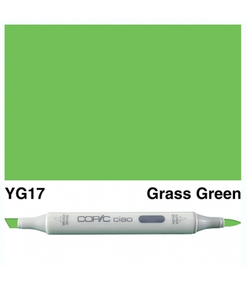 Copic Ciao Marker "YG17"