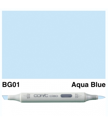 Copic Ciao Marker "BG01"