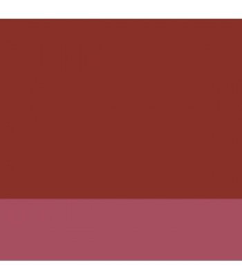 Rosso ossido (304) -20 ML