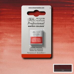 056 - Bruno di garanzia 1/2 Godet Acquerello Professional Winsor e Newton