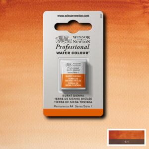 074 - Terra di Siena bruciata 1/2 Godet Acquerello Professional Winsor e Newton