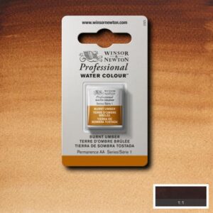076 - Terra d'ombra bruciata 1/2 Godet Acquerello Professional Winsor e Newton