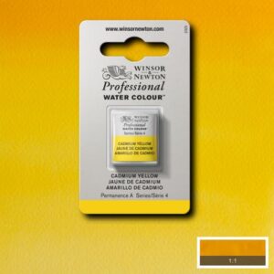 108 - Giallo di cadmio 1/2 Godet Acquerello Professional Winsor e Newton