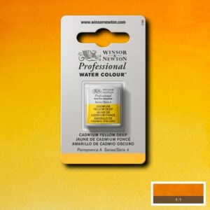 111 - Giallo di cadmio scuro 1/2 Godet Acquerello Professional Winsor e Newton