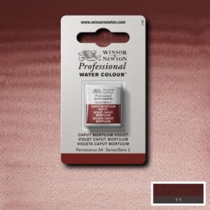 125 - Viola caput mortuum 1/2 Godet Acquerello Professional Winsor e Newton