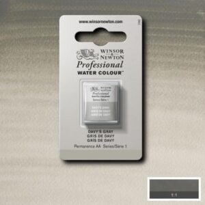 217 - Grigio di Davy 1/2 Godet Acquerello Professional Winsor e Newton