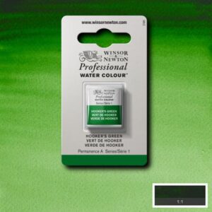 311 - Verde di Hooker 1/2 Godet Acquerello Professional Winsor e Newton