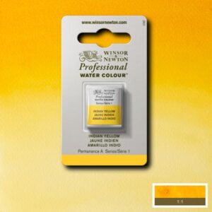 319 - Giallo indiano 1/2 Godet Acquerello Professional Winsor e Newton