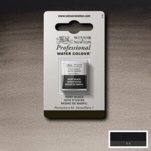 331 - Nero d'avorio 1/2 Godet Acquerello Professional Winsor e Newton