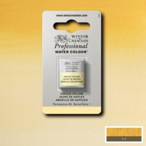 422 - Giallo di Napoli 1/2 Godet Acquerello Professional Winsor e Newton