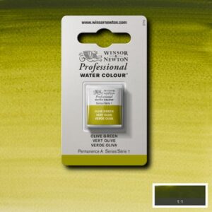 447 - Verde oliva 1/2 Godet Acquerello Professional Winsor e Newton