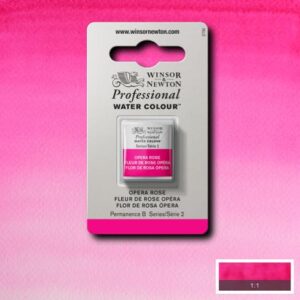 448 - Fiore di rosa opera 1/2 Godet Acquerello Professional Winsor e Newton
