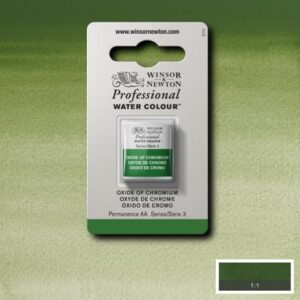 459 - Ossido di cromo 1/2 Godet Acquerello Professional Winsor e Newton