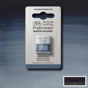 465 - Grigio di Payne 1/2 Godet Acquerello Professional Winsor e Newton