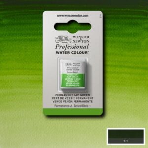 503 - Verde vescica permanente 1/2 Godet Acquerello Professional Winsor e Newton