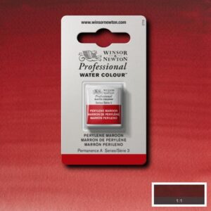 507 - Marrone perilene 1/2 Godet Acquerello Professional Winsor e Newton