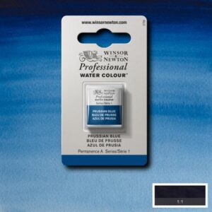 538 - Blu di Prussia 1/2 Godet Acquerello Professional Winsor e Newton