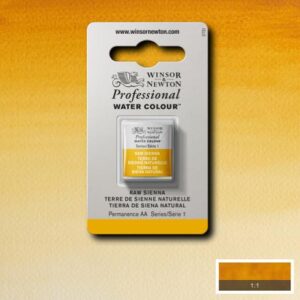 552 - Terra di Siena naturale 1/2 Godet Acquerello Professional Winsor e Newton