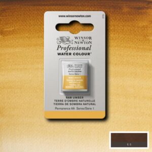 554 - Terra d'ombra naturale 1/2 Godet Acquerello Professional Winsor e Newton