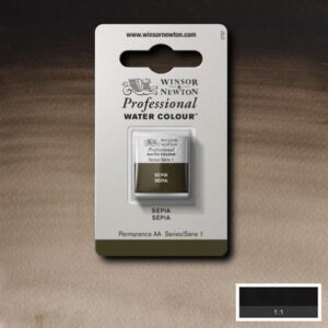 609 - Seppia 1/2 Godet Acquerello Professional Winsor e Newton