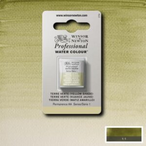638 - Terra verde - Tonalità gialla 1/2 Godet Acquerello Professional Winsor e Newton