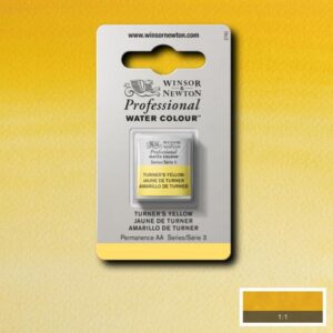 649 - Giallo di Turner 1/2 Godet Acquerello Professional Winsor e Newton