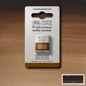 676 - Bruno Van Dyck 1/2 Godet Acquerello Professional Winsor e Newton