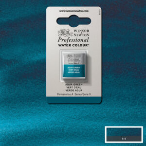 697 - Verde acqua 1/2 Godet Acquerello Professional Winsor e Newton