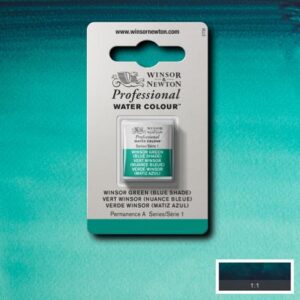 719 - Verde Winsor - Tonalità blu 1/2 Godet Acquerello Professional Winsor e Newton