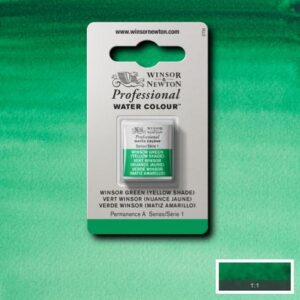 721 - Verde winsor - Tonalità gialla 1/2 Godet Acquerello Professional Winsor e Newton