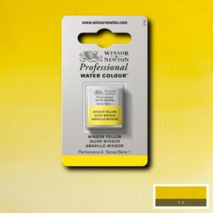 730 - Giallo Winsor 1/2 Godet Acquerello Professional Winsor e Newton