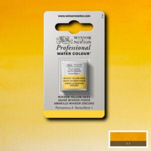 731 - Giallo Winsor scuro 1/2 Godet Acquerello Professional Winsor e Newton