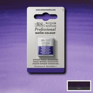 733 - Viola Winsor (diossazina) 1/2 Godet Acquerello Professional Winsor e Newton