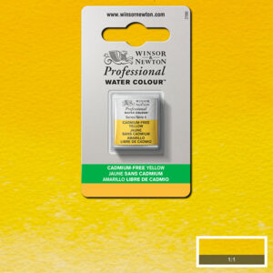 890 - Giallo privo di cadmio 1/2 Godet Acquerello Professional Winsor e Newton