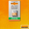 899 - Arancio privo di cadmio 1/2 Godet Acquerello Professional Winsor e Newton