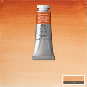 074 - Terra di Siena bruciata 14 ML Acquerello Professional Winsor e Newton