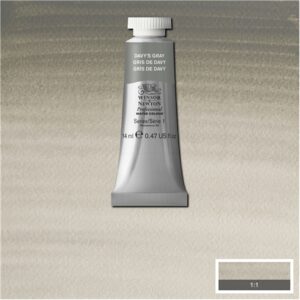 217 - Grigio di Davy 14 ML Acquerello Professional Winsor e Newton