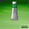 311 - Verde di Hooker 14 ML Acquerello Professional Winsor e Newton