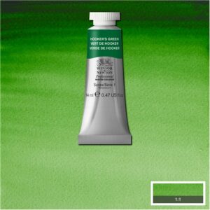 311 - Verde di Hooker 14 ML Acquerello Professional Winsor e Newton