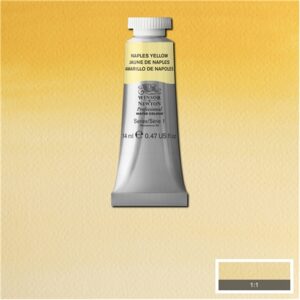 422 - Giallo di Napoli 14 ML Acquerello Professional Winsor e Newton