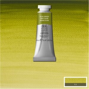 447 - Verde oliva 14 ML Acquerello Professional Winsor e Newton