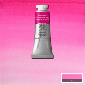 448 - Fiore di rosa opera 14 ML Acquerello Professional Winsor e Newton