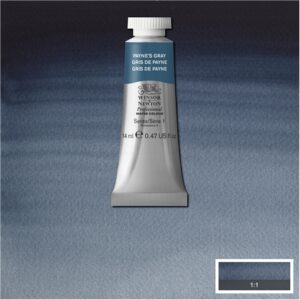 465 - Grigio di Payne 14 ML Acquerello Professional Winsor e Newton