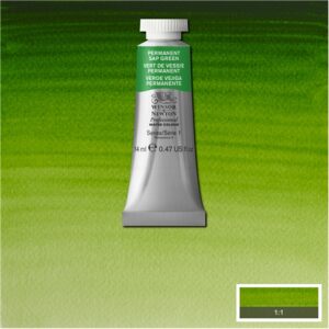 503 - Verde vescica permanente 14 ML Acquerello Professional Winsor e Newton