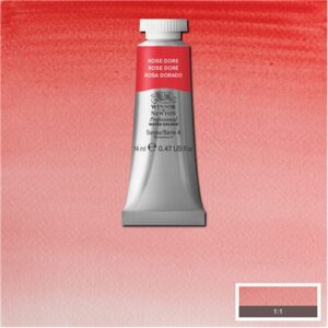 576 - Rosa dorato 14 ML Acquerello Professional Winsor e Newton