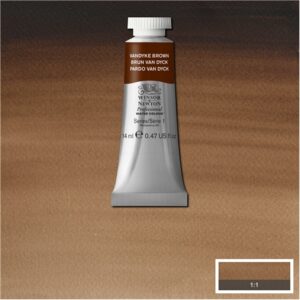 676 - Bruno Van Dyck 14 ML Acquerello Professional Winsor e Newton